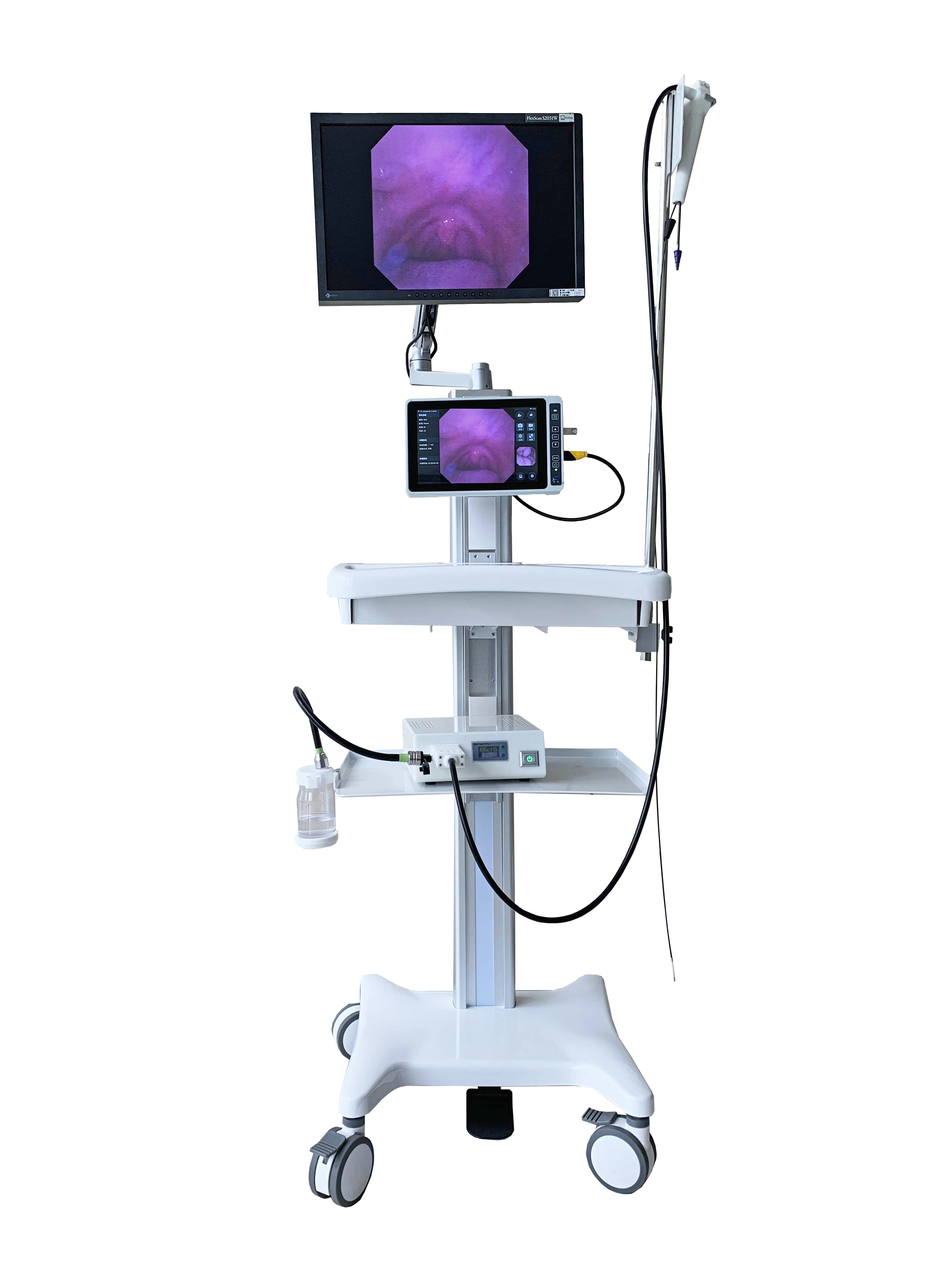 Disposable Flexible Video Ureteroscope Urological