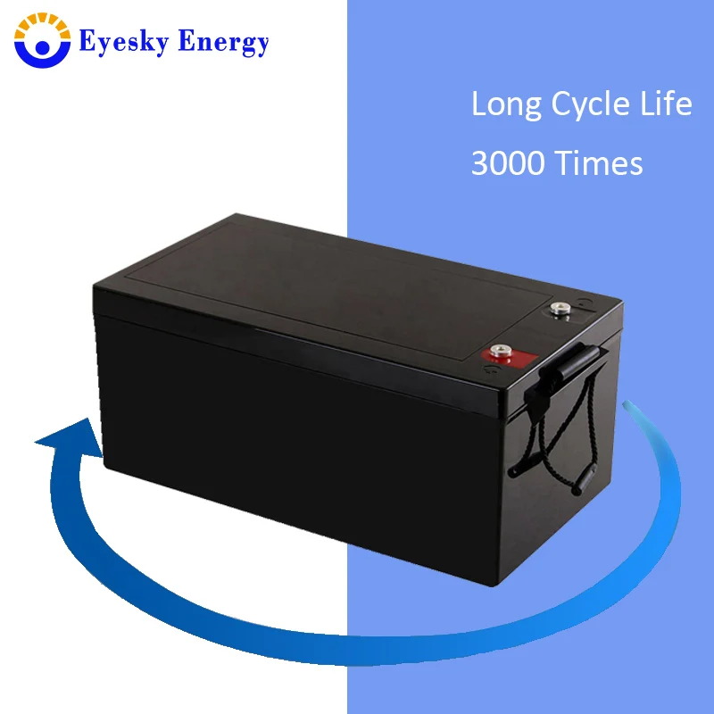 Electric Bicycles RV Marine Solar Deep Cycle Battery 24v 100Ah 150Ah 200Ah 300Ah Long Cycle Life 12v Lithium Lifepo4 100Ah