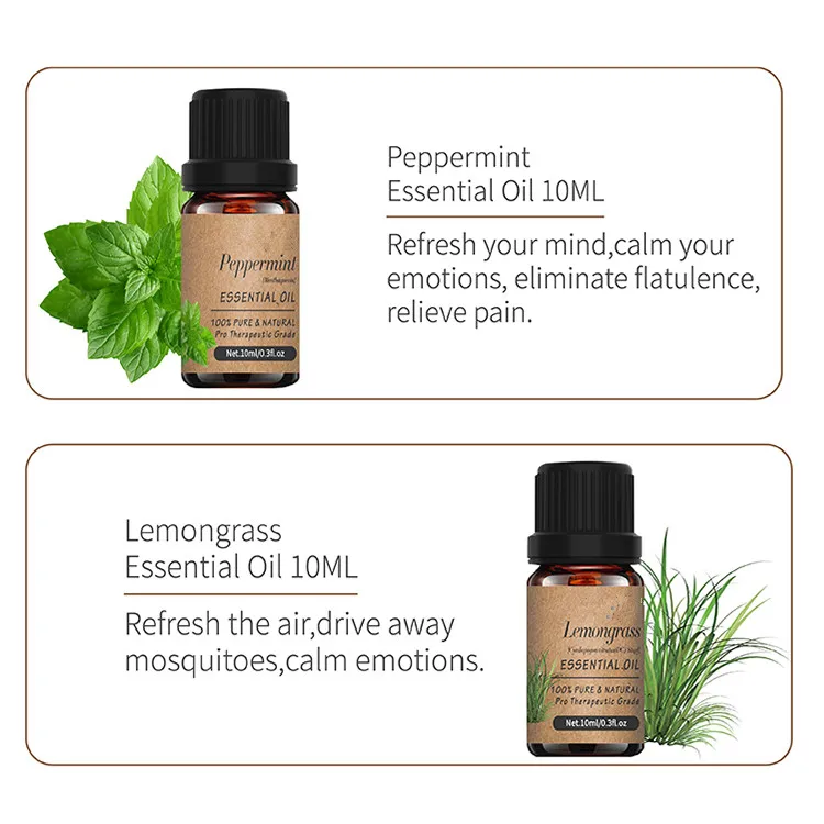 Wholesale manufacturers 6 pack lavender aromatherapy organic pure essential oil