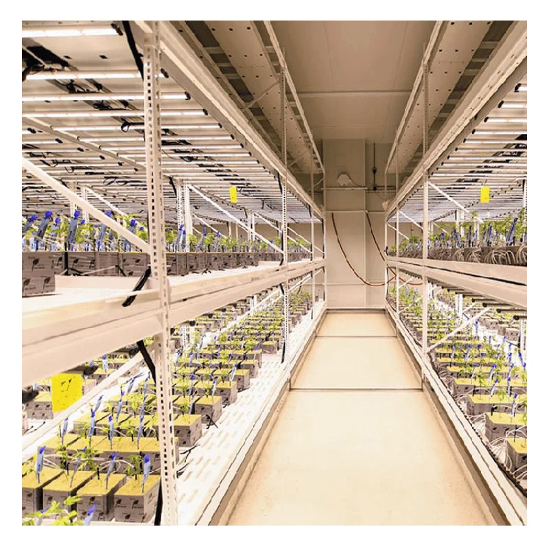 Indoor Growing Multi Floor Plant Racks Racking System Vegetable Mobile Vertical Grow Multilayer Rack