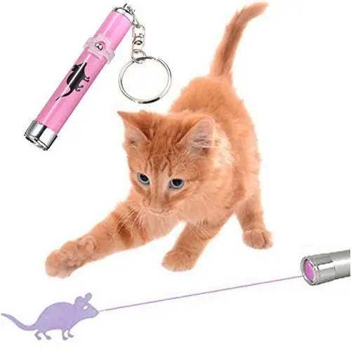 Custom Logo Projector Pen Image Projection LED Flashlight Laser Pointer Key Chain Promotional Gifts