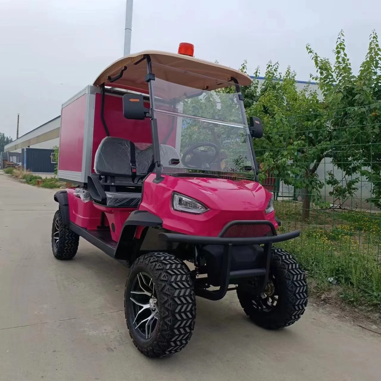custom recreational energy vehicle car 2 seater electric golf cart buggy with Cargo Boxes
