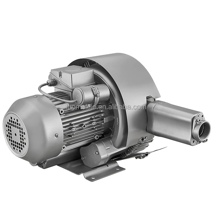 1HP Single Stage Ring Blower air vacuum blower for Fish Pond