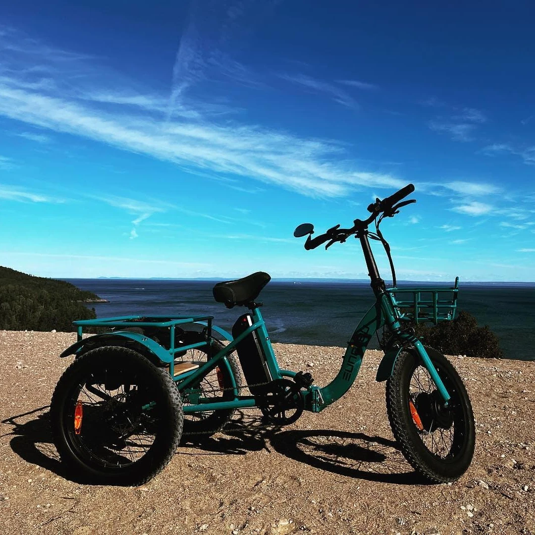 48V 500W three wheel ebike electric tricycles 3 wheel folding cargo trikes fat tire electric bikes three wheels for adults