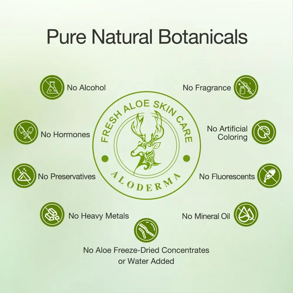 OEM 99% Organic Aloe Vera Gel Aloe Gel for Face and Body Sunburn Relief Natural Soothing Hydrating Aloe Vera for Scalp Hair