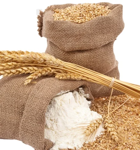 Суперкачественный Оптовый продукт-мука из пшеницы в турецком стиле