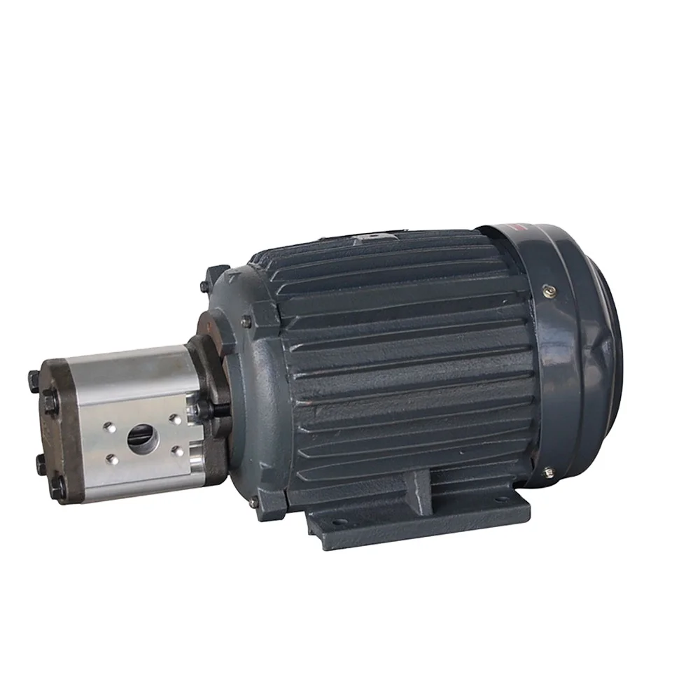 hydraulic gear pump motor