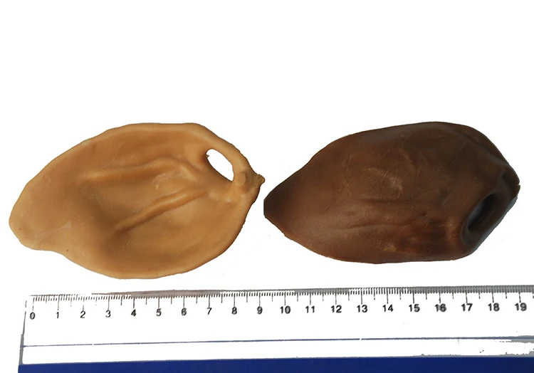 Dog Treats Healthy Ingredient Pig Ear Dog Treats Rawhide Free Dog Snacks