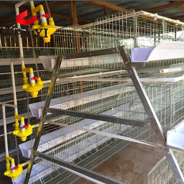 chicken coop for uae chicken farm in malaysia  saudi arabia
