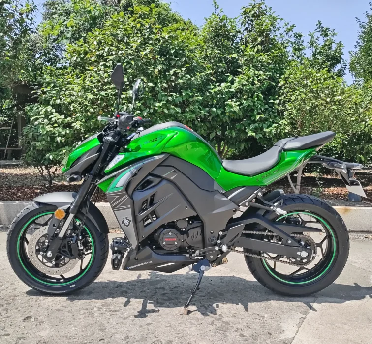 250CC Motorcycle with Oil Cooling 4 Stroke Engine Carburetor Gasoline Racing motorcycle Disc Brakes