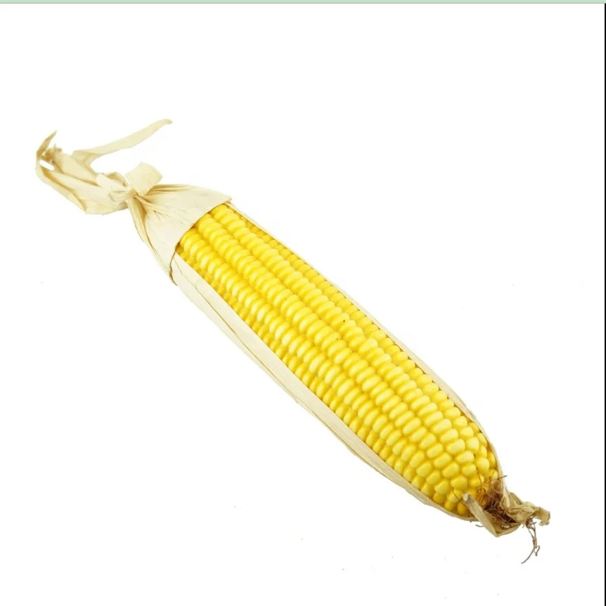 Realistic Faux Play Fake Food Replica Vegetable Corn On Cob Stage Prop