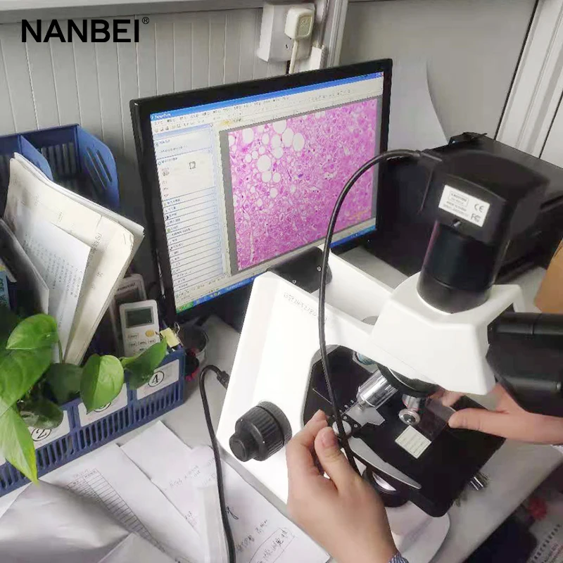 laboratory binocular microscope with camera
