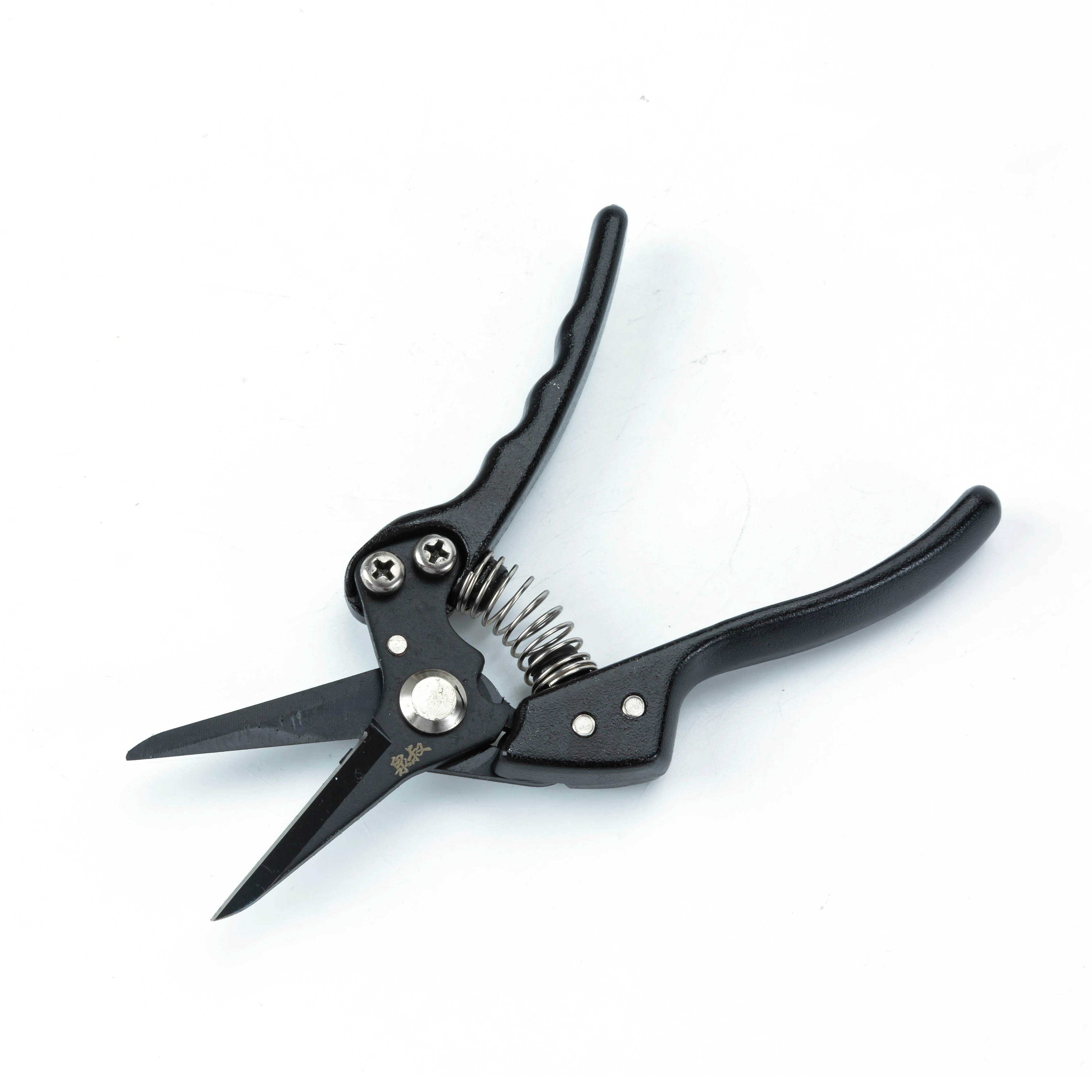China Factory Directly Garden Tools Extensible Garden Tools Hand Saw Tree Pruner Pruning Shear