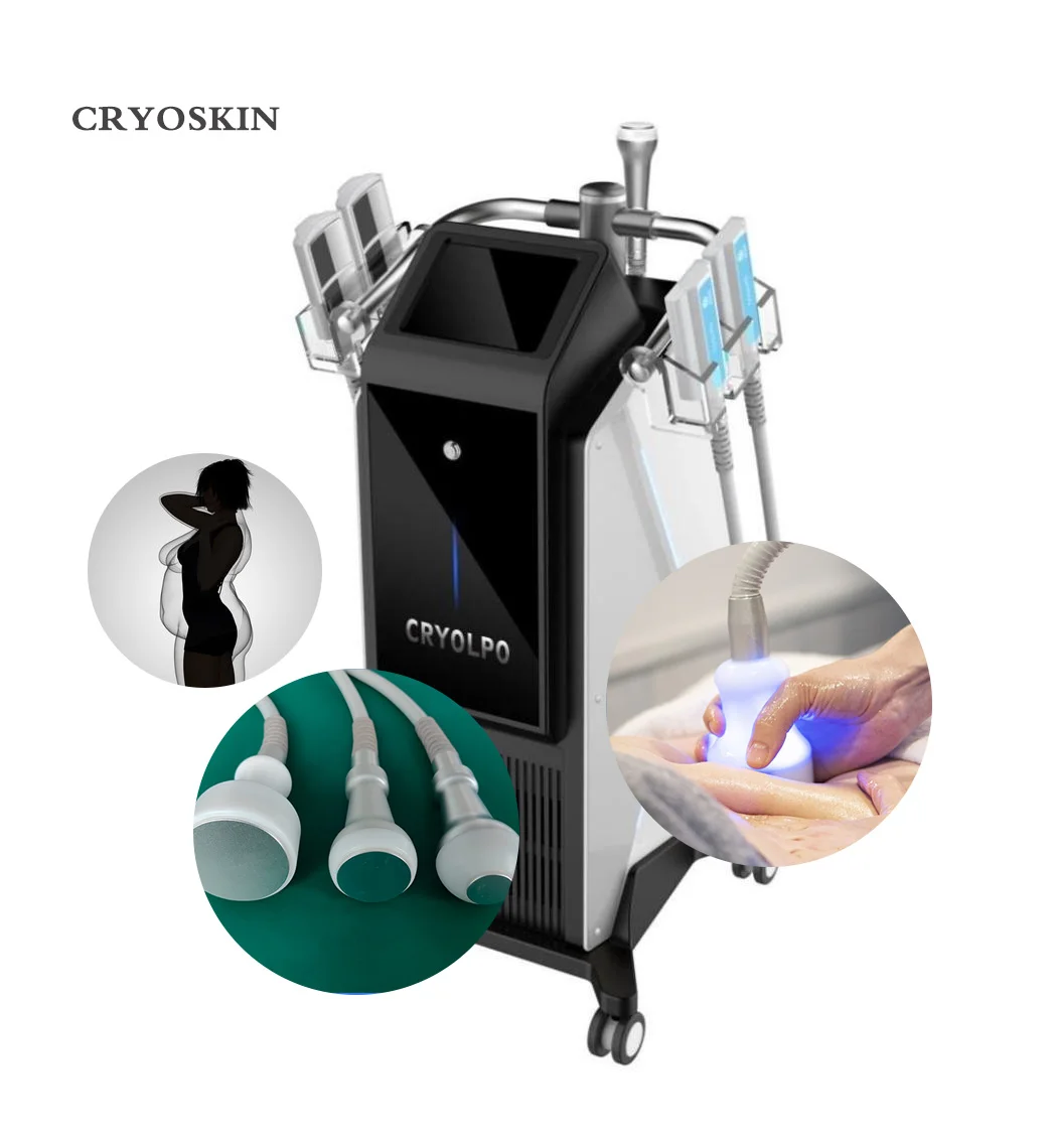 Vertical 5 7 handles 4 Replacement Paddles Cryotherapy Thermotherapy EMS Thermal Shock Cryoskin cryoslimming machine for body