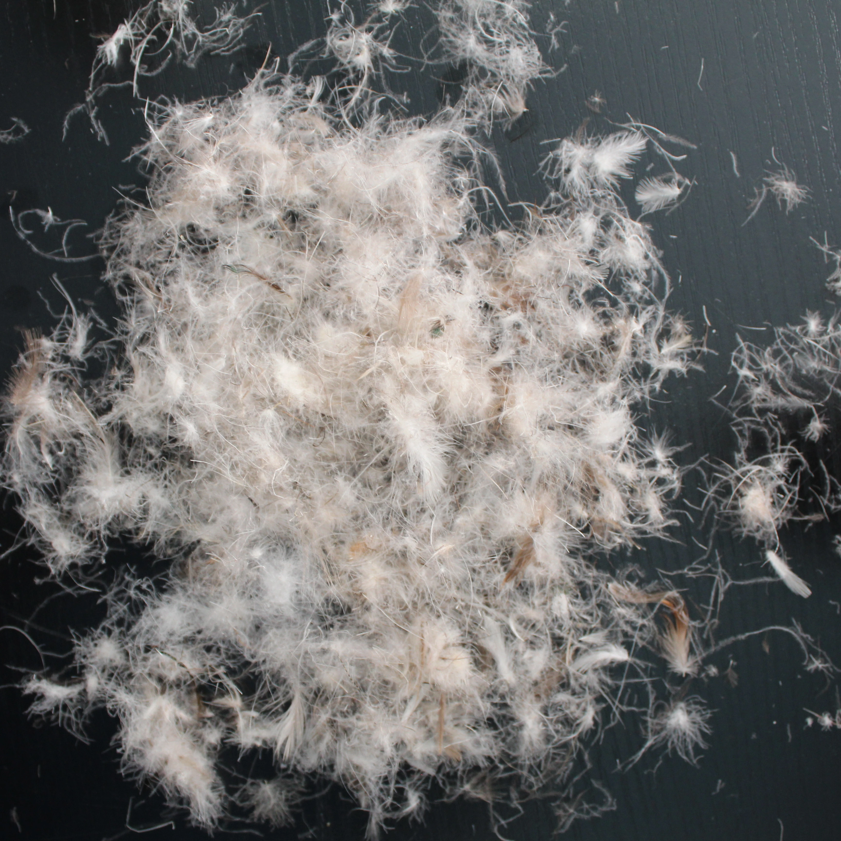 Достоинства бренд, оптовая продажа, Модный женский пуховик с меховым заполнения мыть серый утиный пух гагачий пух, на утином пуху