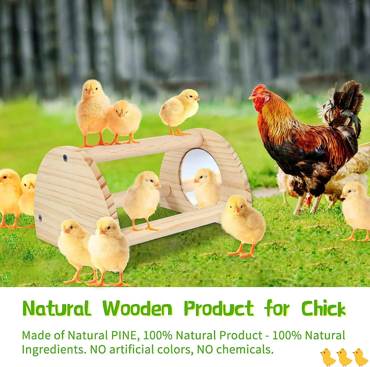 Pine with mirror chicken habitat Chicken jungle gym chicken toys are suitable for parrot, hen training roosting toys