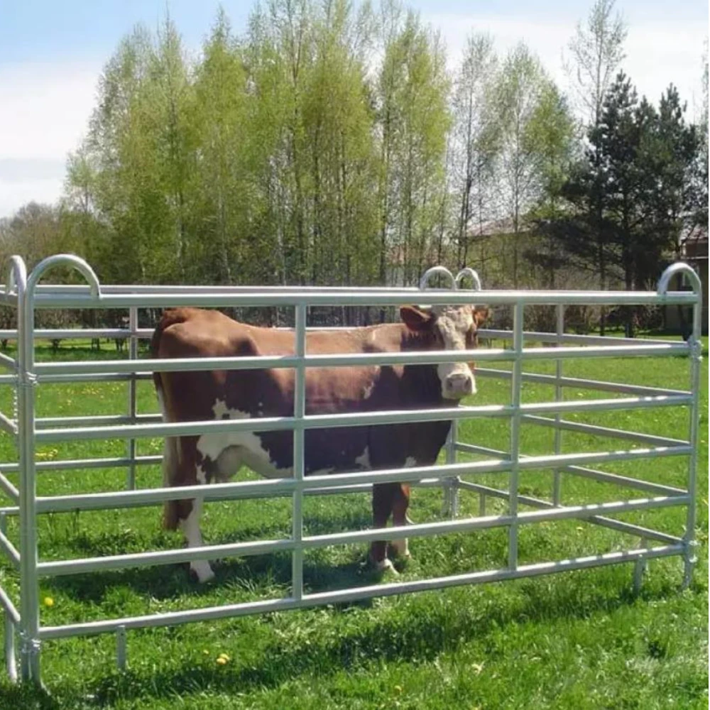 High Quality Welded Galvanized Utility Demountable horse round yard