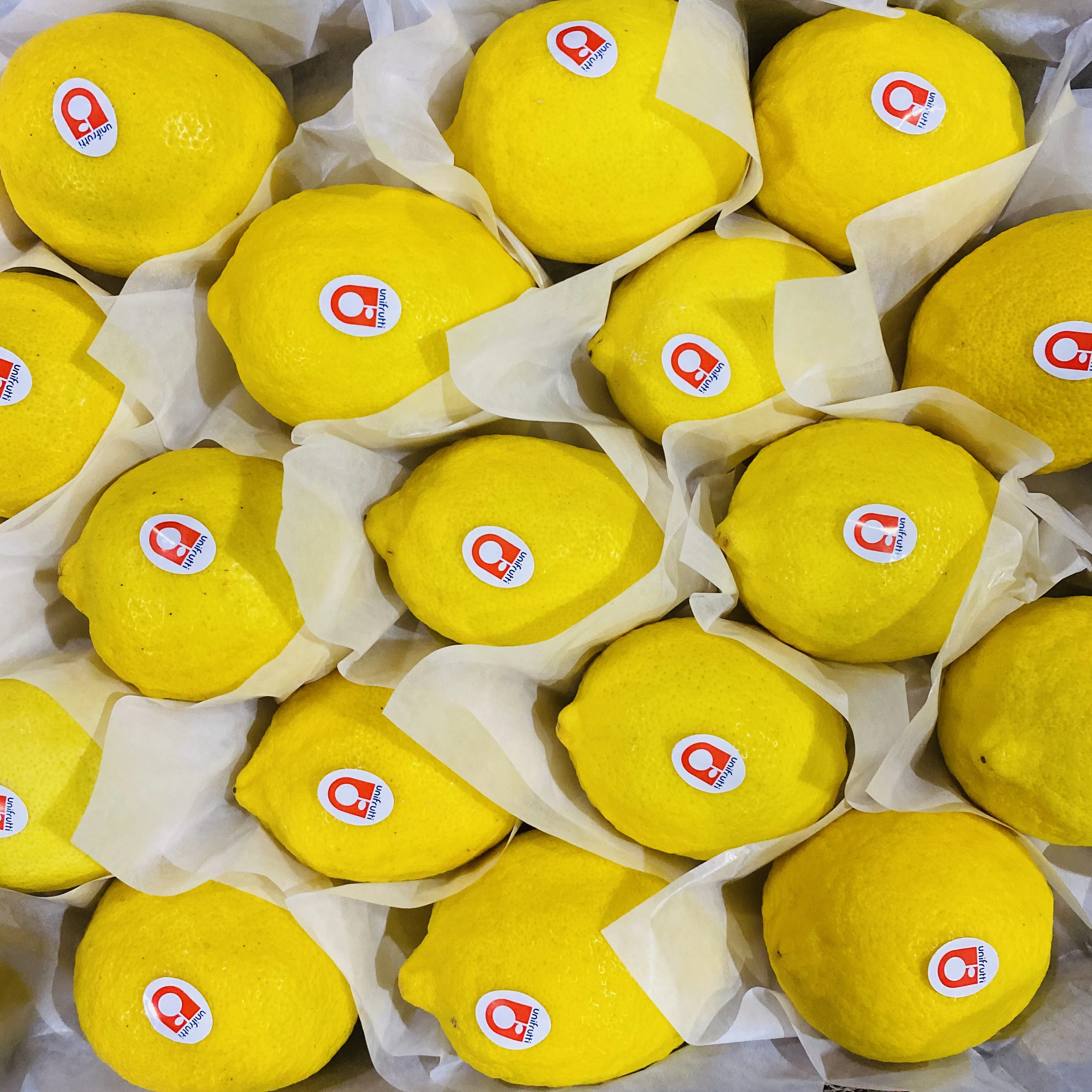 Fresh Eureka lemon from CHINA