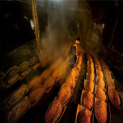 Distilled Alcohol Yeast with High Alcohol Rate High Temperature Resisted Yeast