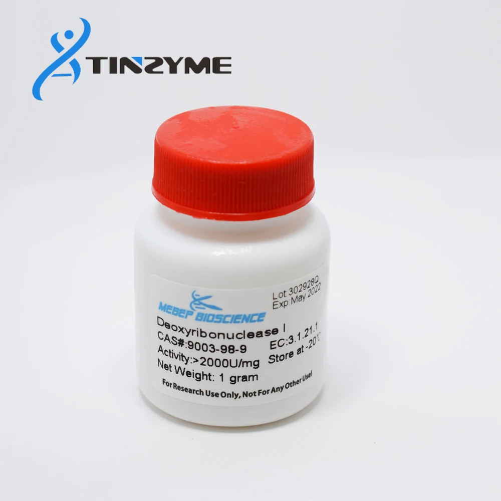 DNase I, Deoxyribonuclease I lyophilized powder