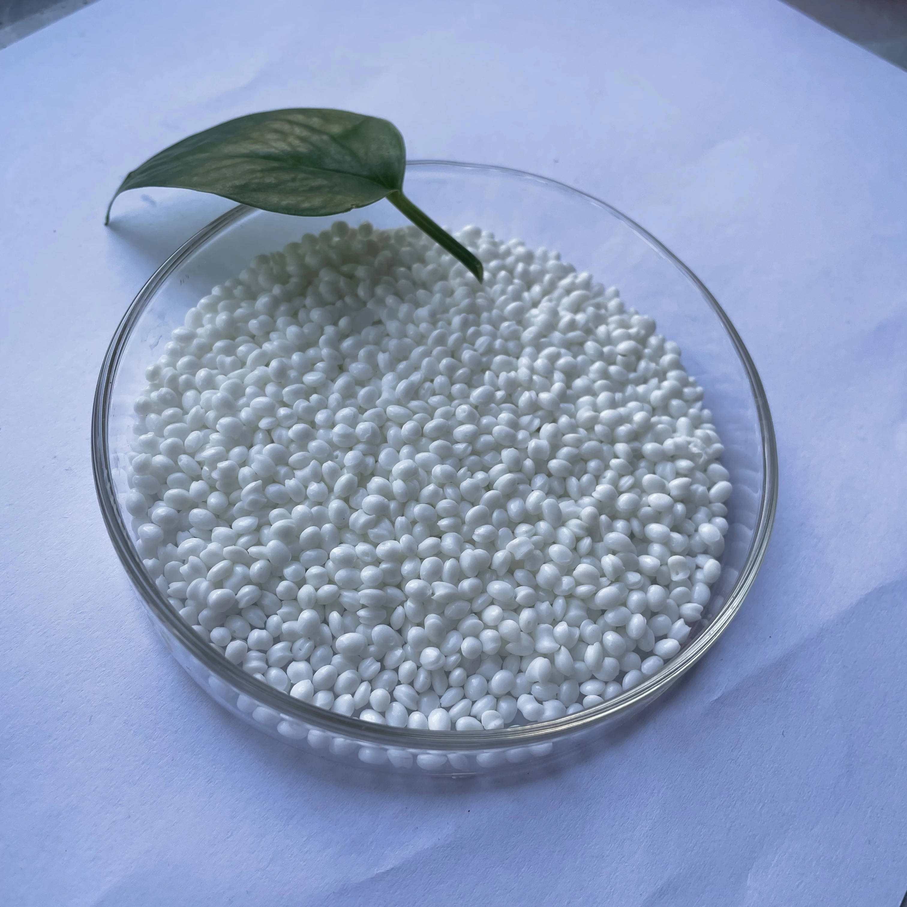Wholesale Quality Polypropylene polyethylene PP Granules Raw Material