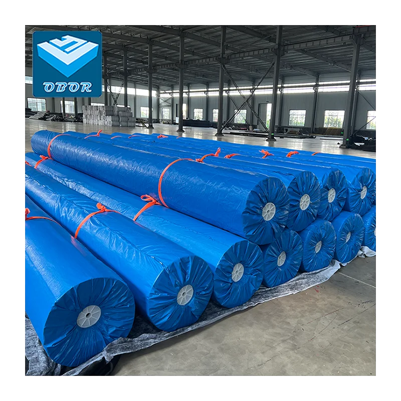 South Africa 0.8mm 1mm 1.6mm 2mm HDPE Geomembrane Pond Liner for Dam Project