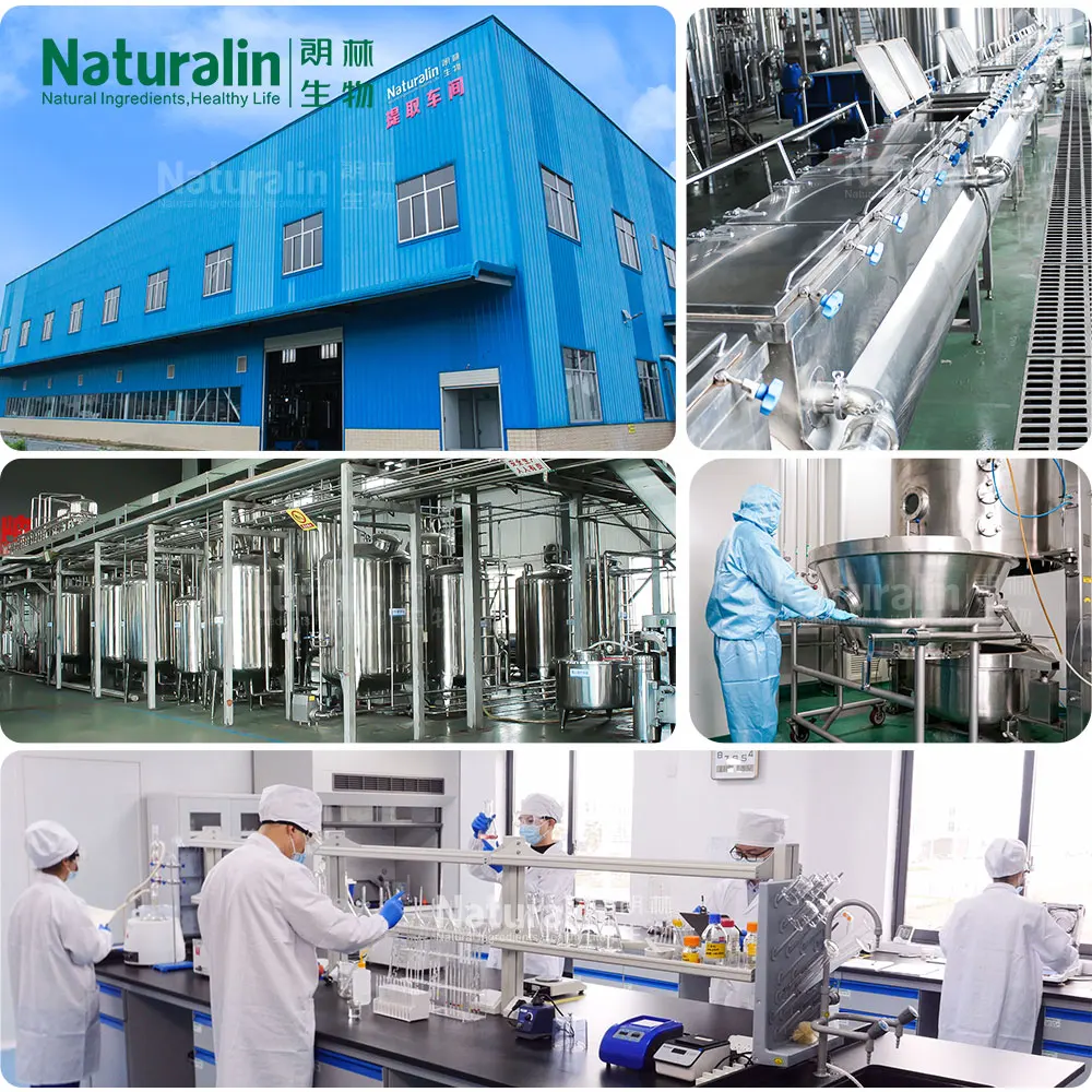 Naturalin Health Supplements  Echinacea purpurea (Linn.) Moench HPLC Detected Echinacea Herb Extract  Chicoric Acid