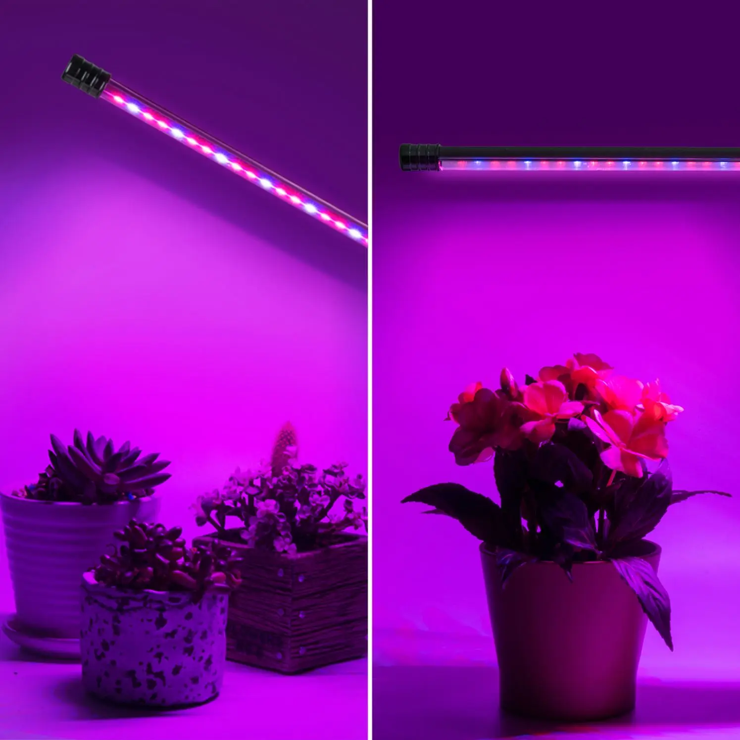 Led Grow Light Usb Phyto Lamp All Spectrum Seedlings Flower Indoor Clip Led Grow Lamp