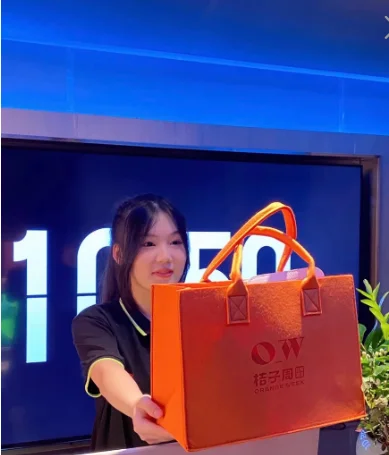 Reusable Custom Logo Eco-friendly Casual Large Capacity Felt Bag Women Felt Tote Bag Handbags Wool Felt Shopping Bag