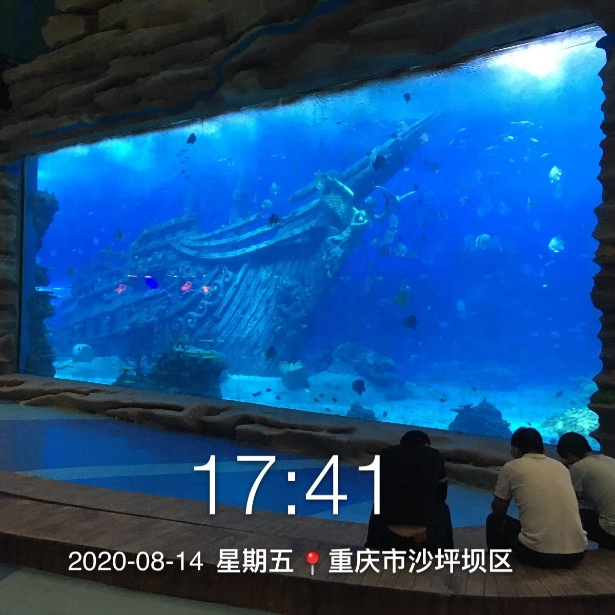 Большой акриловый аквариум цена