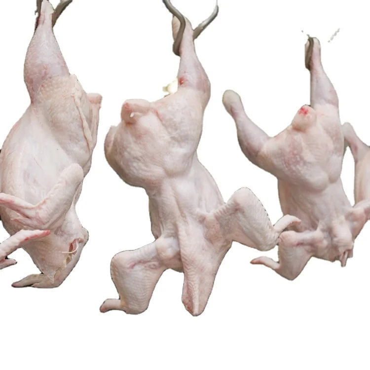 
2020 sell well poultry slaughterhouse equipment chicken slaughter line 