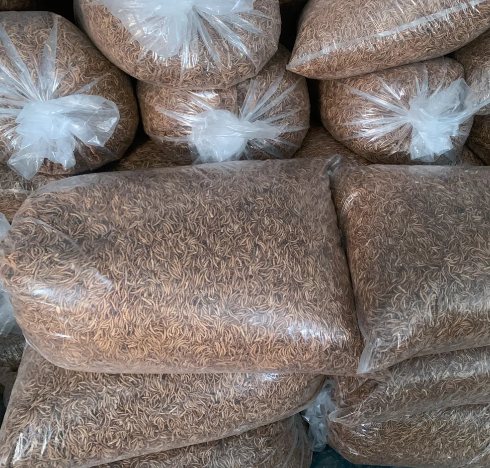 High Protein Dried Mealworm in Bulk for Wild Bird 5 KG