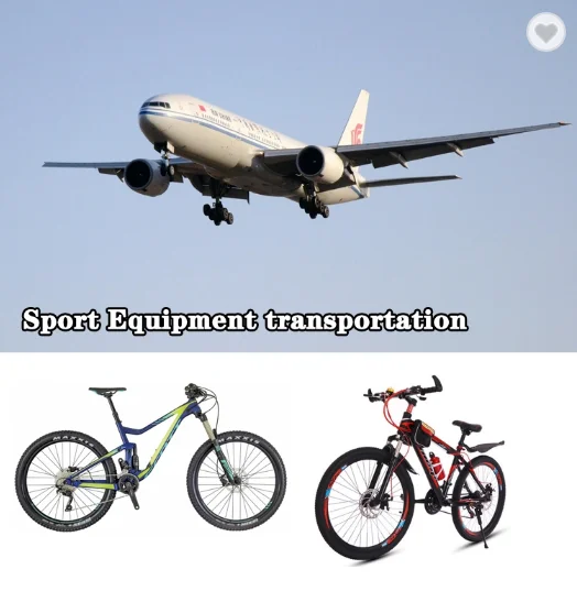  Доставка DDP из Китая в Бахрейн морской экспедитор агент по