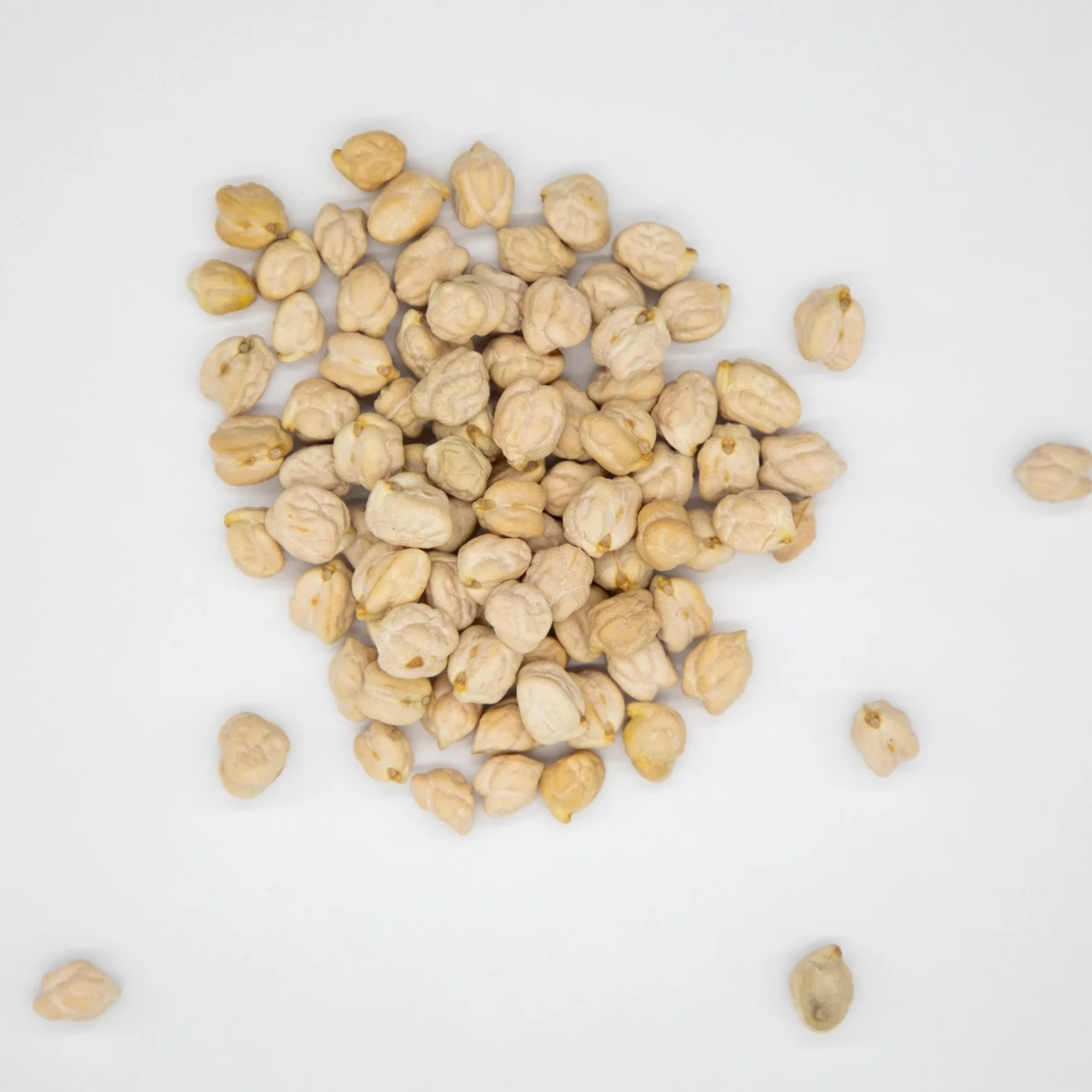 Calibrated chickpeas from Uzbekistan competitive prices Yellow chickpeas White chickpeas  beans at best price
