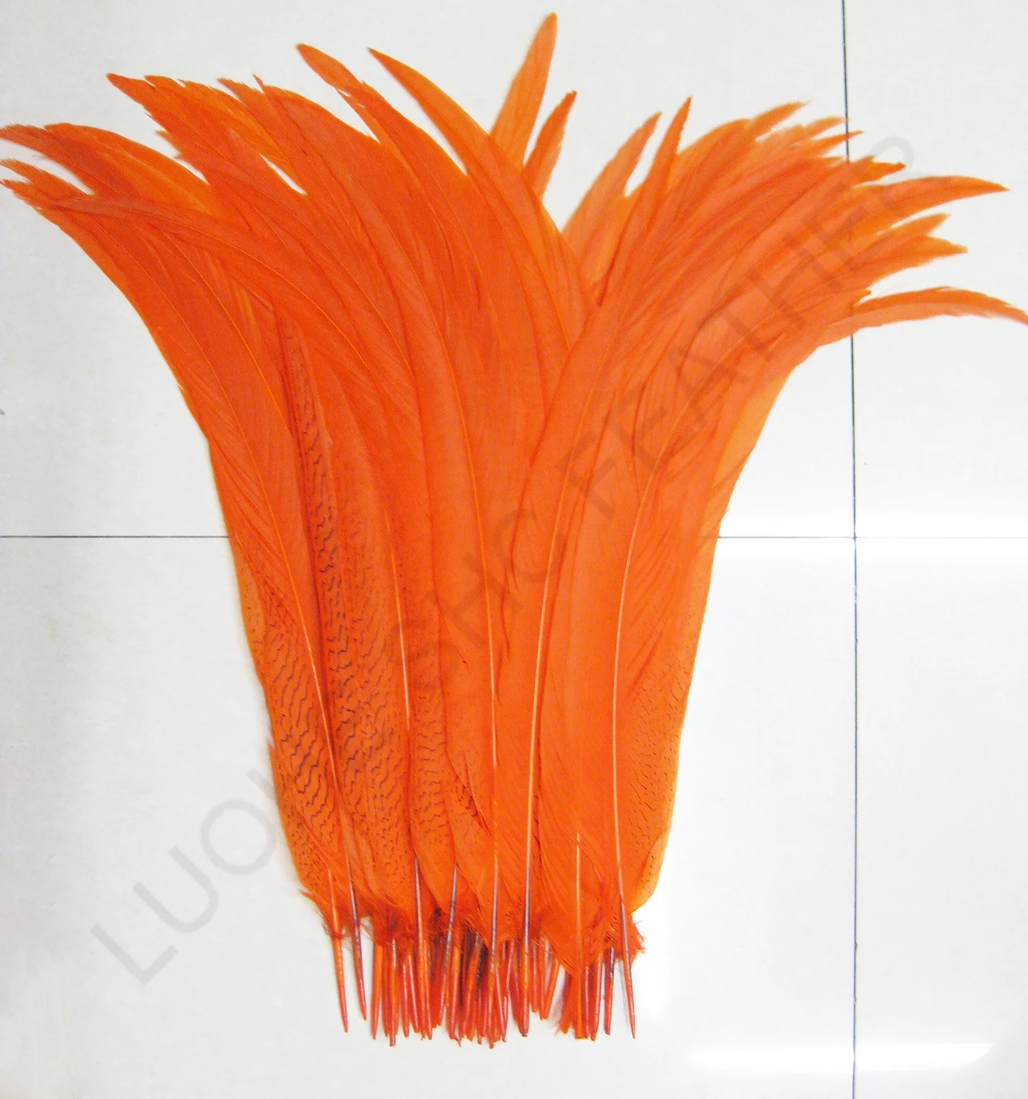 Cheap sale 22-24 inch Natural dyed colors Silver Pheasant Tail Feather for carnival dance and performance headdress decoration