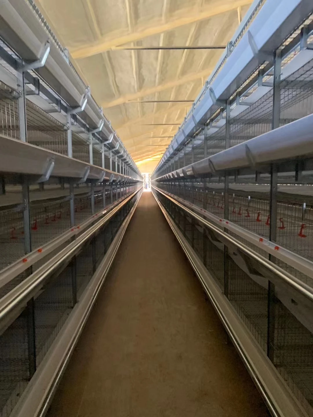 poultry broiler cages for broiler chicken battery cages poultry farm
