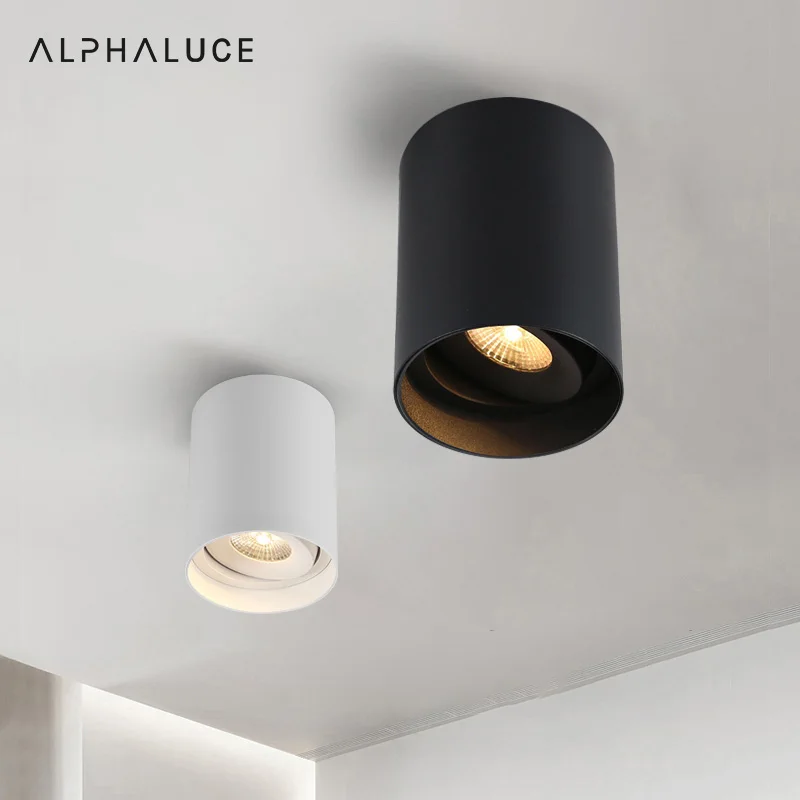 Surface Mounted For Living Room Bedroom Remote Control Black Chandeliers Light Fixtures Ceiling Lighting Modern