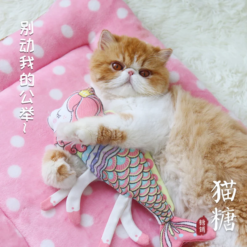 AIWO pet toy, fish shaped toy for cat