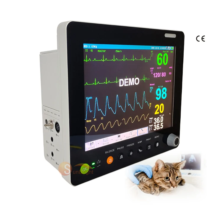 Portable 12 inch patient monitor for clinic using