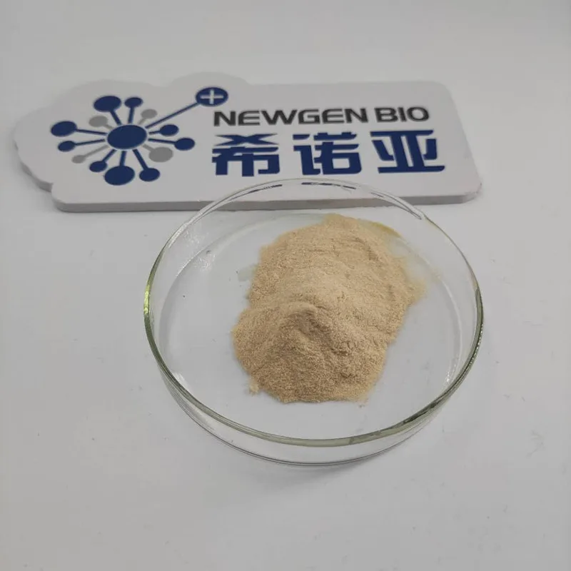 Manufacturer Supply Food Grade Additive Xylanase Enzyme Powder