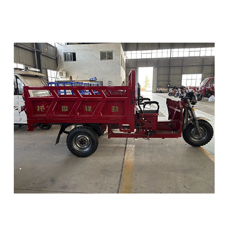 China Cheap Adult 150cc 175cc 3 Wheeled Gasoline Moto Cargo Load Tricycle Motorcycle for Delivery