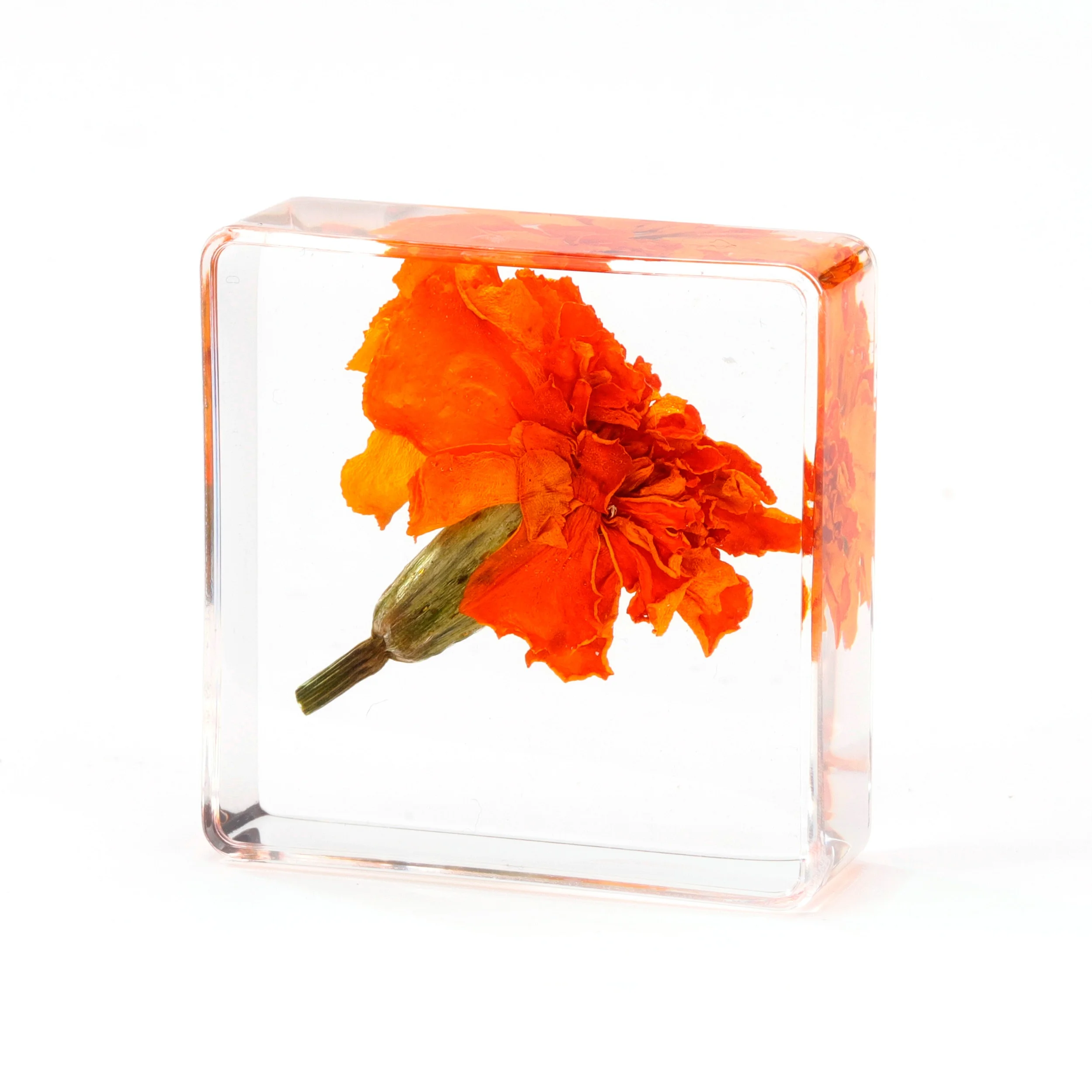 Best selling Real Flower Chrysanthemum Specimen Acrylic Resin Paperweight Wedding Decoration Souvenir Crafts Educational Toys