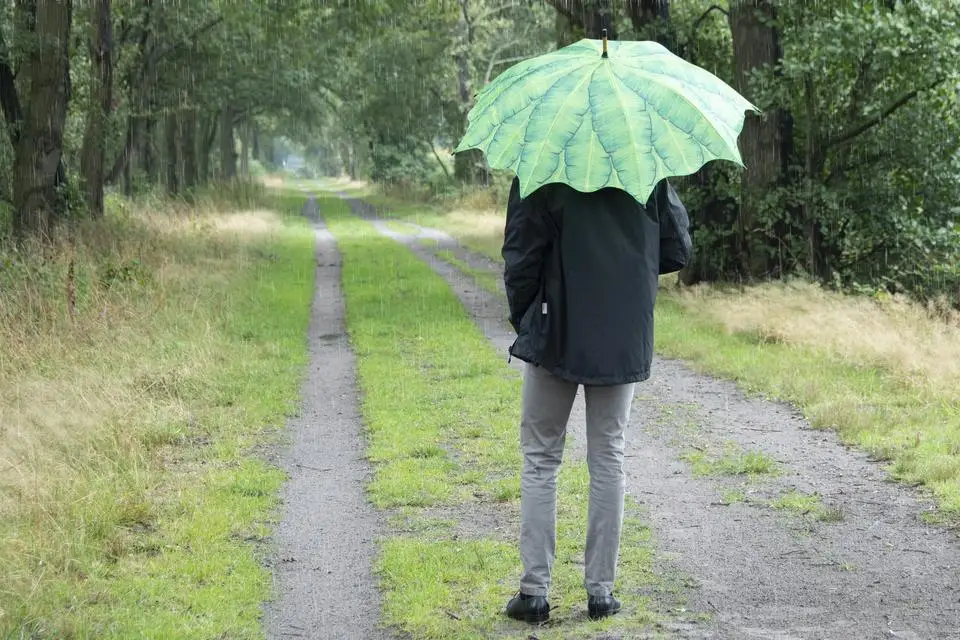 Sunday Straight Umbrella Banana Leaves Wholesale New Umbrella For The Rain Custom Modern Rain Umbrella