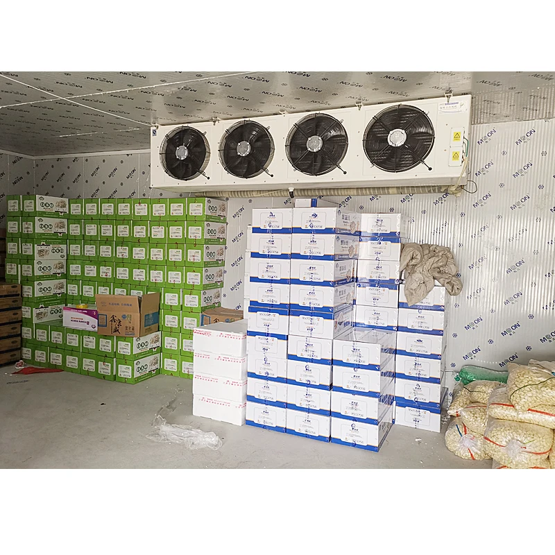 Frozen room cold systems cold room of meat goat cold storage room