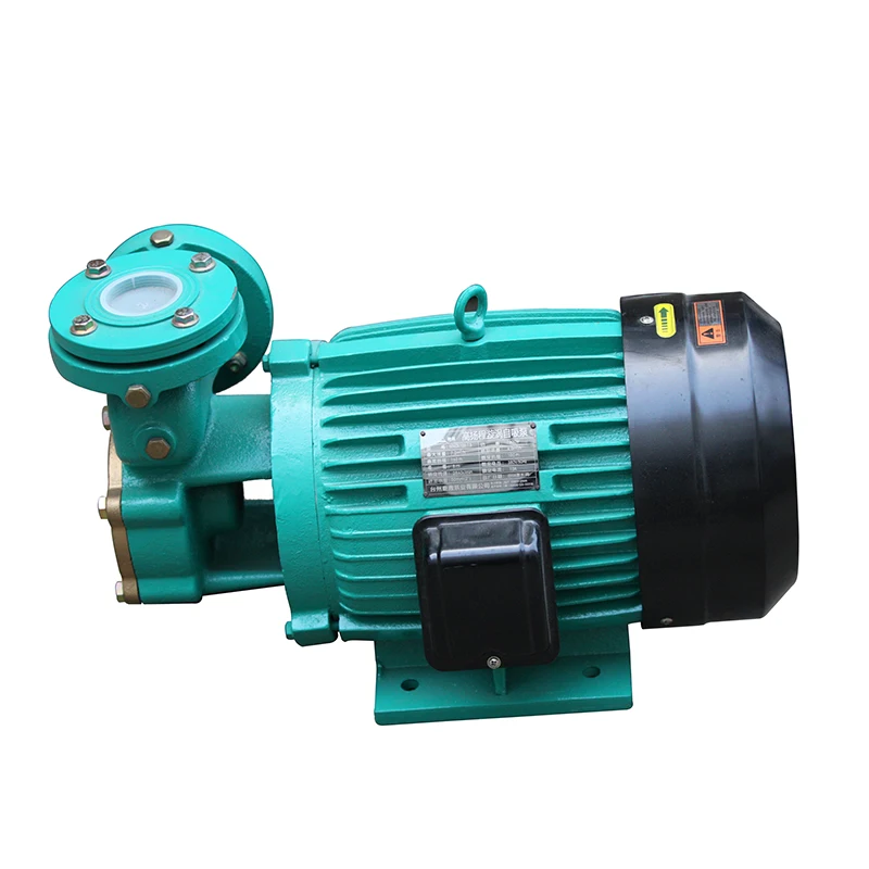 
High-lift 12V Stainless Steel Self-Priming Vortex Water Pump For Boiler Pressurization 