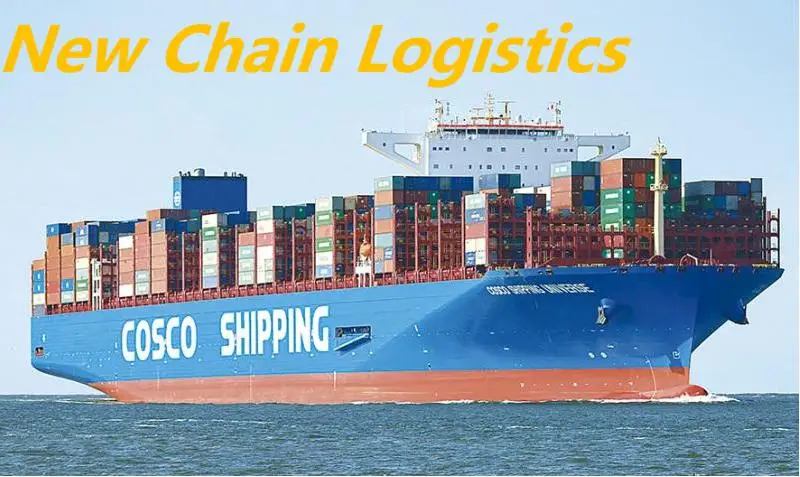 Australia Shipping Companies LCL Shanghai Freight Forwarder China to Australia Door to Door
