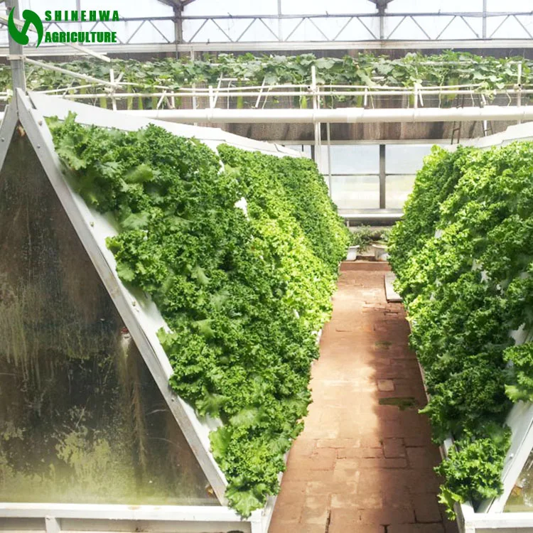 
High Quality Hot Selling Commercial Aeroponics Hydroponic system for greenhouse 