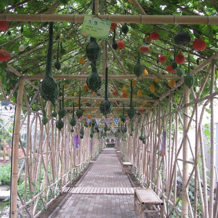 Custom Size Bamboo Garden Stakes Bamboo Sticks For Agriculture