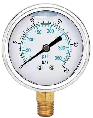 Factory wholesale stainless steel diaphragm 60mm dial diameter sealed oil-filled pressure gauge