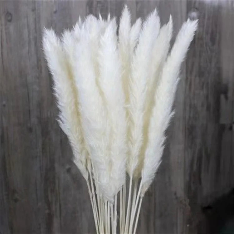 YAYUN CH2042 Hot Selling Home Decor Natural Dried Flower Pampas Grass